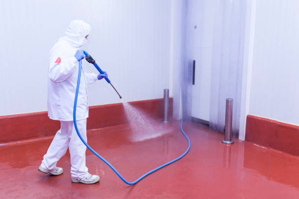 Best Building Exterior Washing  in Coto De Za, CA